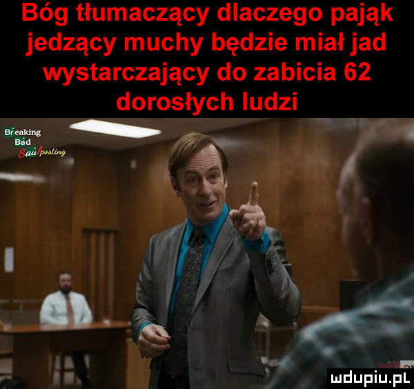 bóg tłumaczący dlaczego pająk jedzący muchy będzie miał jad wystarczający do zabicia    dorosłych ludzi i m i w l.   mduplu pl