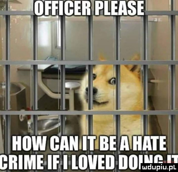 l   glarngin rmgs w l. ow ban be hate bbime if i will duma