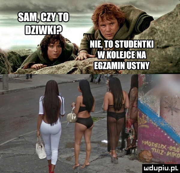 icie i il stiiiieii w kiiieige ica