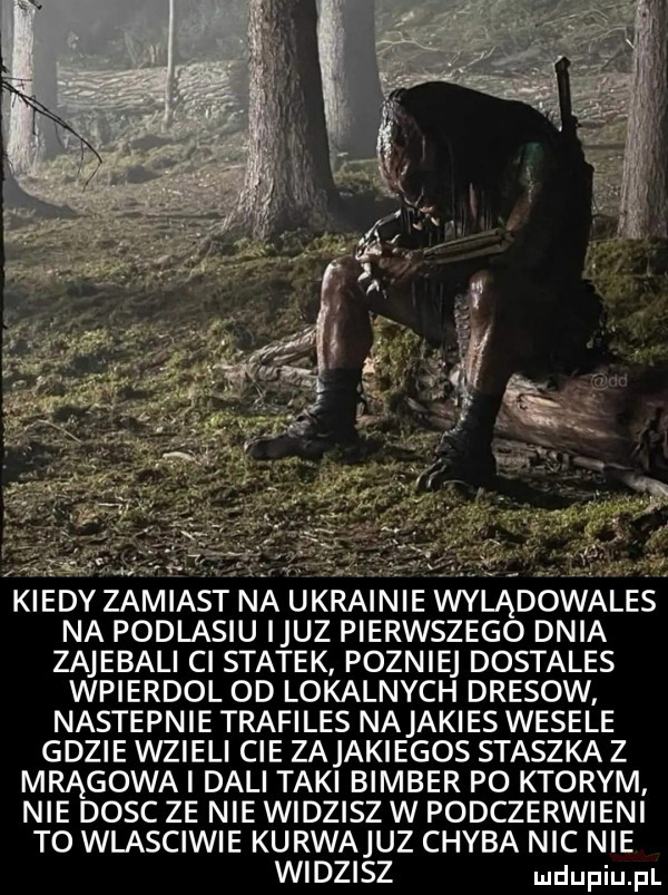 kiedy zamiast na ukrainie wylądowales na podlasiu ijuz pierwszego dnia zajebali ci statek pozniej dostales wpierdol od lokalnych dresow nastepnie trafiles najakies wesele gdzie wzieli cie zajakiegos staszka z mrągowai dali taki bimber po ktorym nie dosc ze nie widzisz w podczerwieni to wlasciwie kurwajuz chyba nic nie widzisz