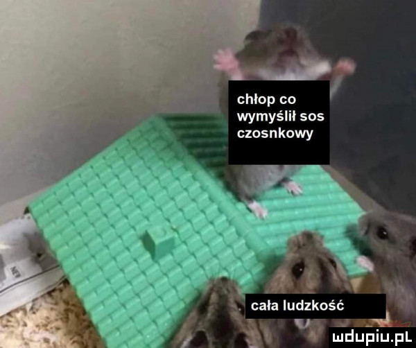chlop co wymyśli sos czosn kawy