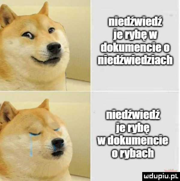 p am e m. m    ﬂ m. wii m pu n n a vum w. g. ee ma mmm m um e u. abakankami muce m an d h i l x i x a   ą   a. i