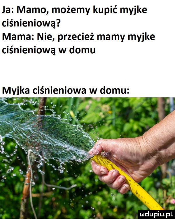 ja mamo możemy kupić myjke ciśnieniową mama nie przecież mamy myjke ciśnieniową w domu myjka ciśnieniowa w domu