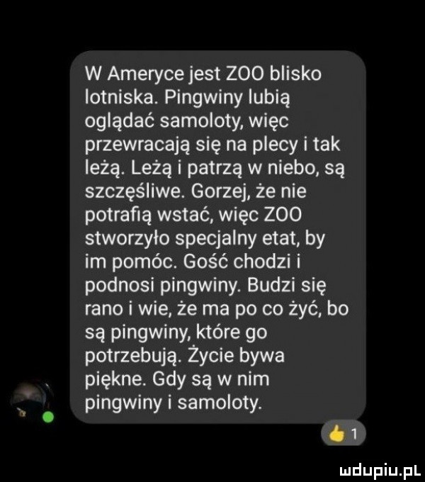 w ameryce jest zoo blisko iotniska. pingwiny lubią oglądać samoloty więc przewracają się na plecy i tak leżą. leżą i patrzę w niebo są szczęśliwe. gorzej że nie potrafią wstać więc zoo stworzyło specjalny etat by im pomóc. gość chodzi i podnosi pingwiny. budzi się rano i wie że ma po co żyć bo są pingwiny które go potrzebują. życie bywa piękne. gdy są w nim pingwiny i samoloty