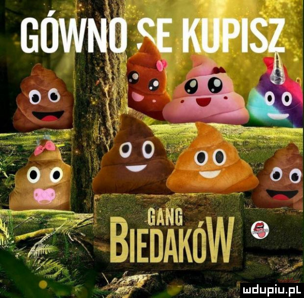 sowup   mam ai a oo     q gang lg w va mdupiupl