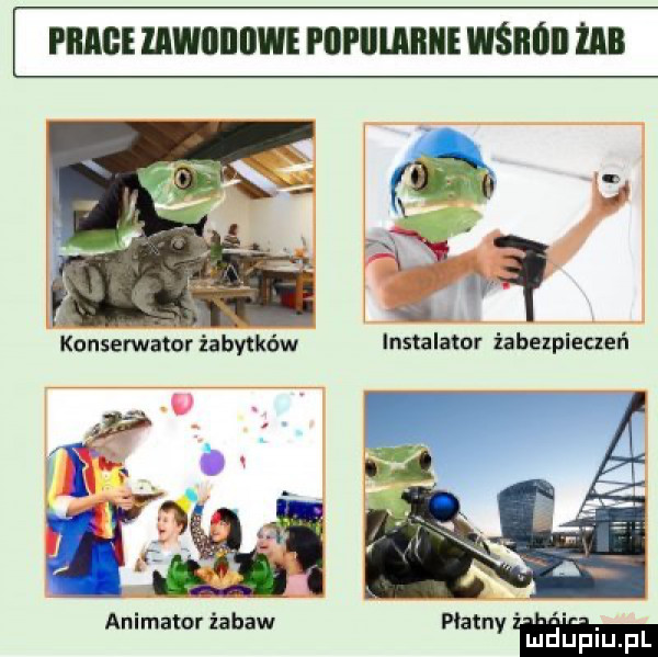 ham iawiiiiiiwe plii iilaiiiie wśiioii iab konserwator ubytków w it   m animator iabaw