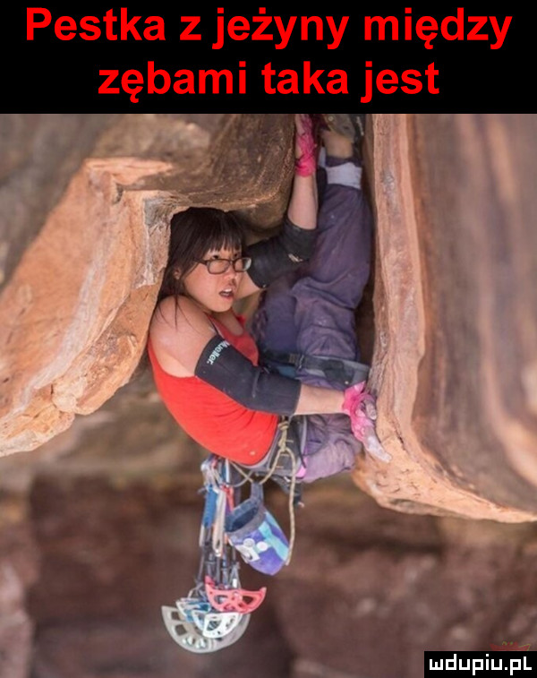 mdupiu il
