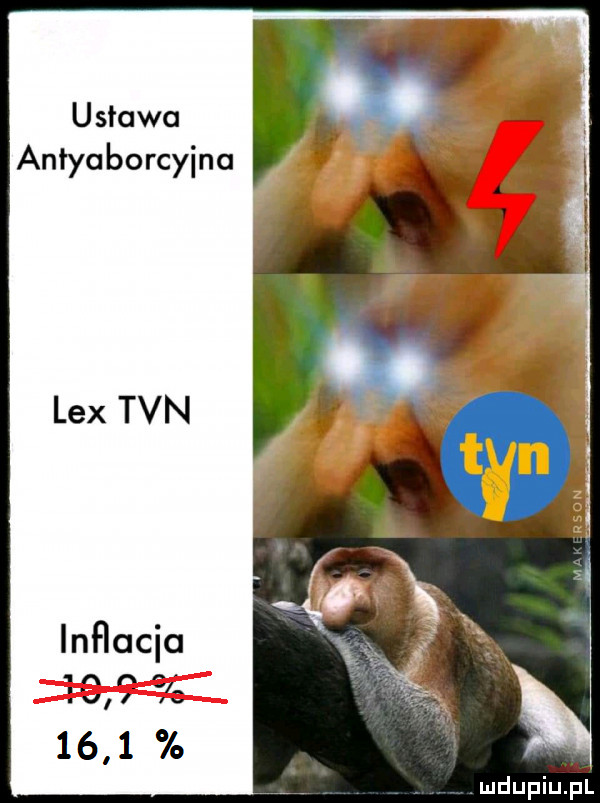ustawa anłyuborcyinu lex tvn inﬂacia m