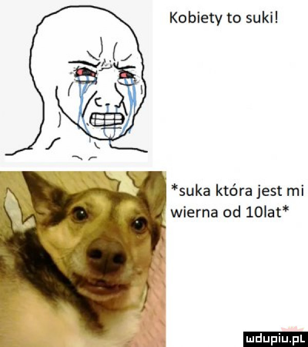 kobiety to suki suka która jest mi wierna od   ikt ludu iu. l