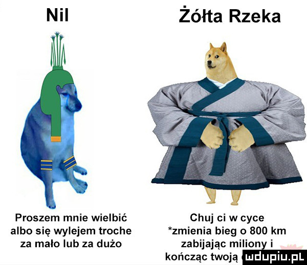 żółta rzeka proszem mnie wielbić chuj ci w cyce albo się wolejem troche zmienia bieg       km za maco lub za dużo zabijając milion i kończąc maca mim