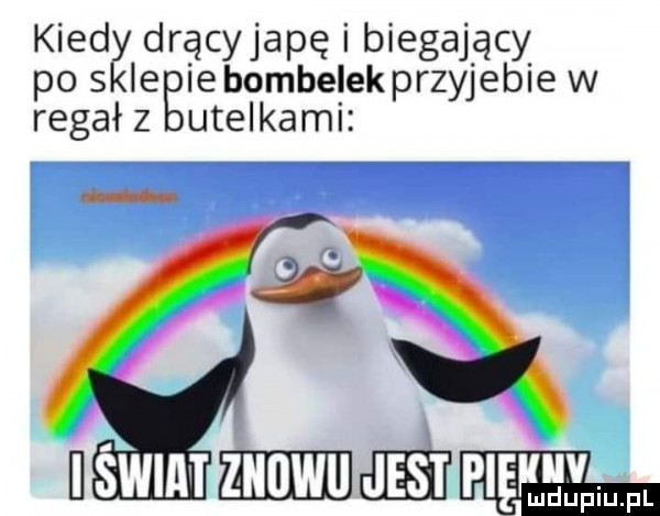 kierz drącyjapę biegający le egiebombelekprzyjebiew rpegał z utelkami u        er