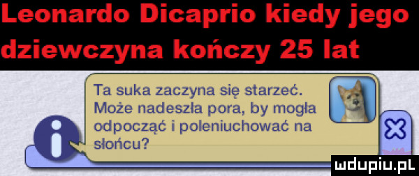 leonardo dicaprio kiedy jego dziewczyna kończy    lat ta suka zaczyna się starzeć. może nadeszła pora. by mogła odpocząć połenluchować na słońcu