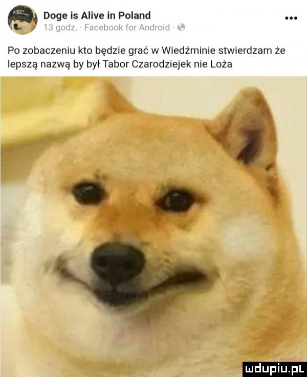 doje is alice in poland. po zobaczemu kto będzie grać w w edz minie saw erdzam że lepsza nazwą by był tabor czarodziejek me loza i