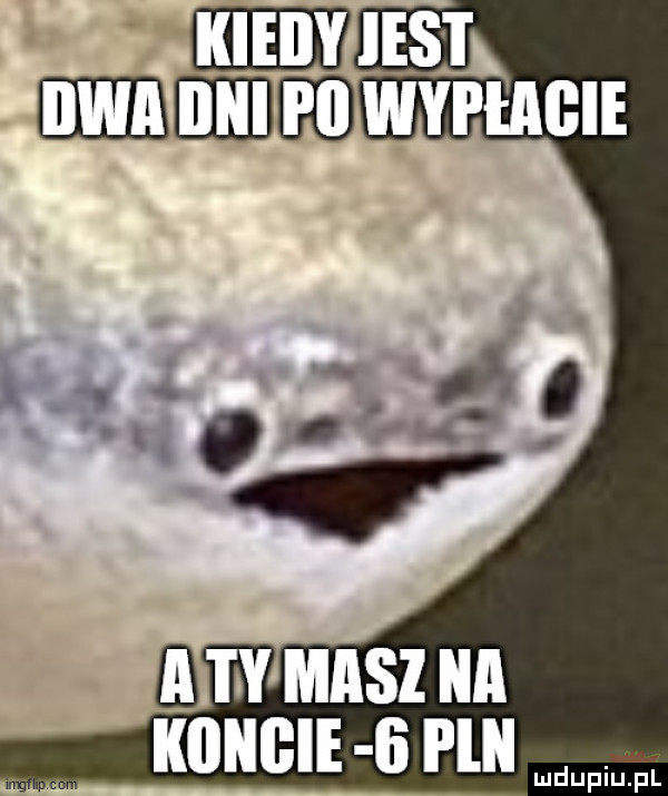boy masz a kohnie   i lal