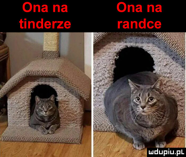 ona na tonderze