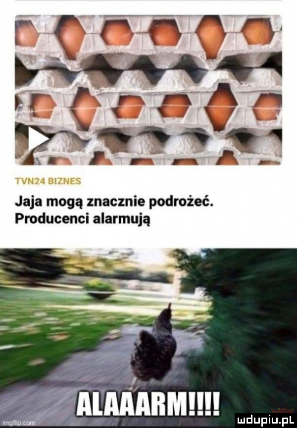 jaja mogą znacznie podrożeć. producenci alarmują