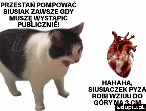 przestan pompować siusiak zawsze gdy muszę wystapic publicznie hahaha siusiaczek pyza robi wziuu do mm