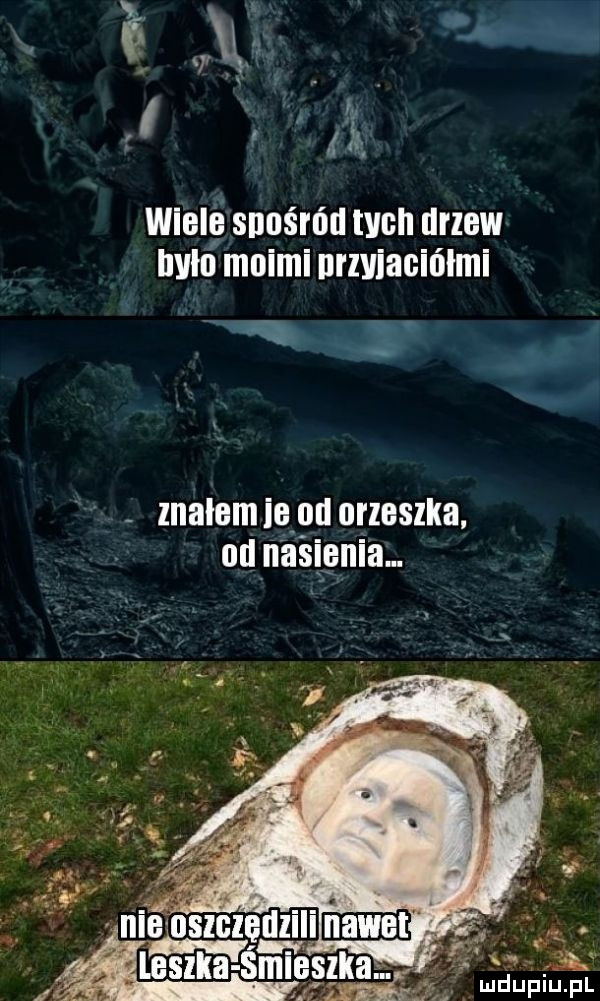 j m. wlecę snuśrńd wen drzew le moimi nrlviacińlmi. abakankami miau