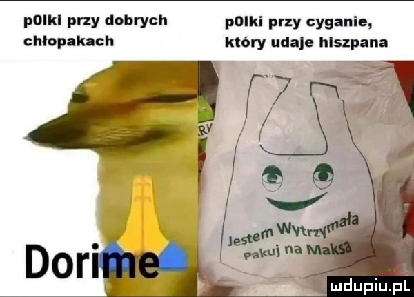 polki phy dobrych pliki przy cyganie chlopakach który udaje hiszpana. ąż i.   r. w s v