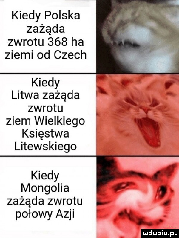 kiedy polska zażąda zwrotu     ha ziemi od czech kiedy litwa zażąda zwrotu ziem wielkiego księstwa litewskiego x kiedy mongolia. zażąda zwrotu połowy azji q