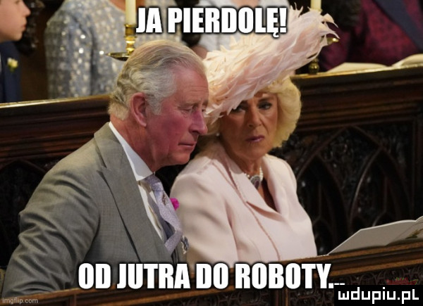 w w wi iii lal l lill lill iiiibii i l i udupiu pl