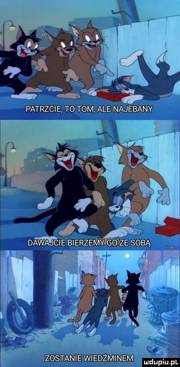 zostanie wiedźminem mdupqul
