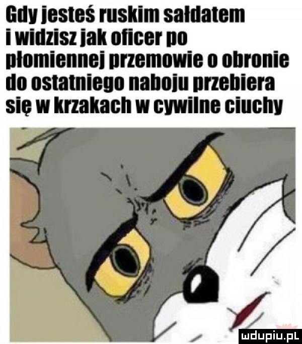 all jesteś ruskim saltatem i widzisz idk ulice no nlomiennei mamunie o obronie un ustamleuu nalmlu nrzehlera się w krzakach w cywilko ciuch