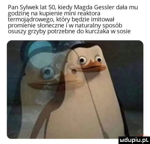 pan sylwek lat    kiedy magda gessler dała mu godzinę na kupienie mini reaktora termojądrowego który będzie imitowai promienie słoneczne i w naturalny sposób osuszy grzyby potrzebne do kurczaka w sosie