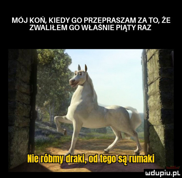 mój kon kiedy go przepraszam za to że zwaliłem go władnie piąty raz za. wagi k       sąlruma i