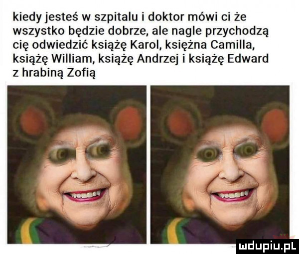 kiedy jesteś w szpitalu i doktor mówi ci że wszystko będzie dobrze ale nagle przychodzą cię odwiedzić książę karol księżna camilla książę william książę andrzej i książę edward   hrabiną zofią