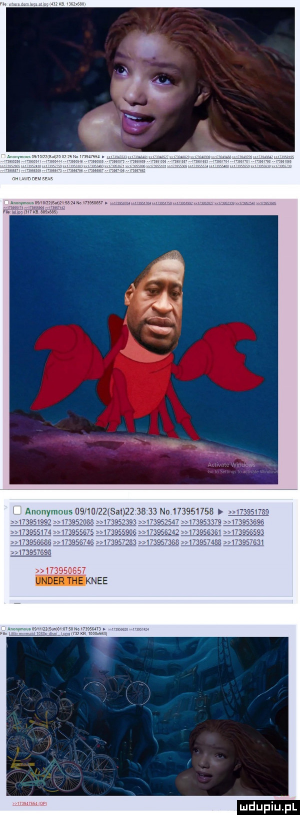 no