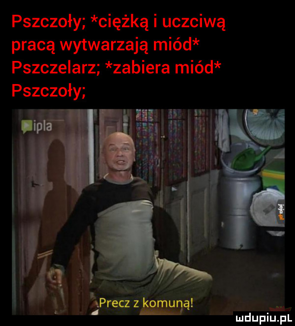 pszczoły ciężką i uczciwą pracą wytwarzają miód pszczelarz zabiera miód pszczoły i precz z u ma mdupiﬁipl