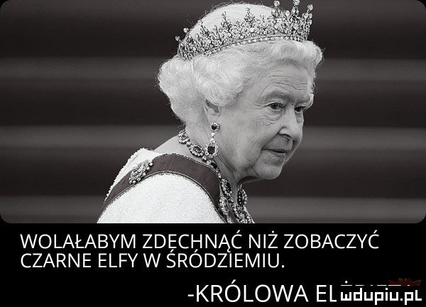 wolałabym zdęchnąc niż zobaczyc czarne elfy w srodziemiu. królowa mammy