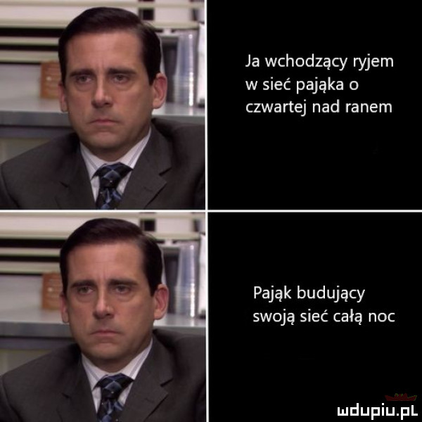 ja wchodzący ryjem w sieć pająka o czwartej nad ranem pająk budujący swoją sieć całą noc