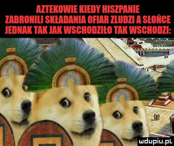 mdupu pl
