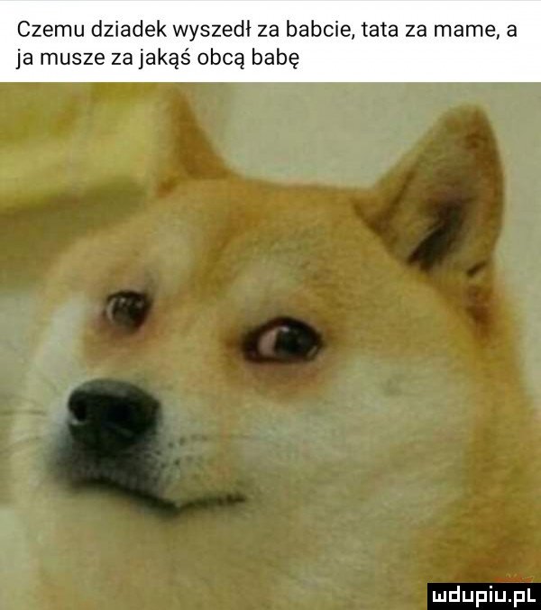 czemu dziadek wyszedł za babcie tata za mame a ja musze za jakąś obcą babę