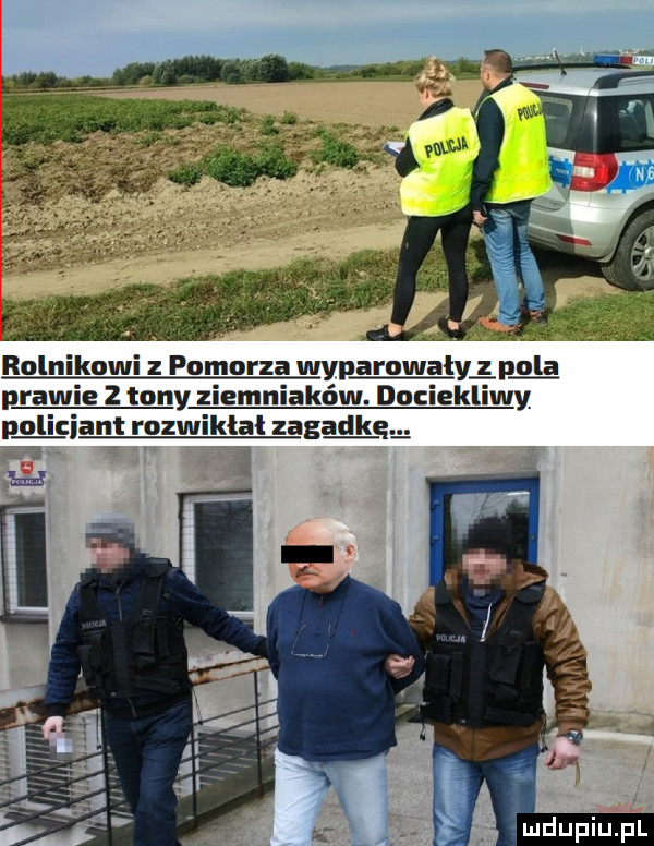 rolnikowi z pomorza wyparowały z pola prawie   tony ziemniaków. dociekliwy policjant rozwikłat zagadkom