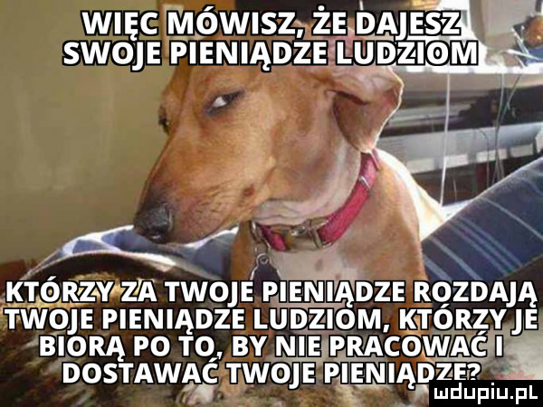 więc a n ówwz ż ba ilz. swa fieniadze ludziom a a k    ęzy za tw   p n acz rószją rt weje pieniądze ludziom ktorzye bi odą po to. by nfjp pracownlﬁ ze dostawa twoje pęęmiąpdepiu. fl