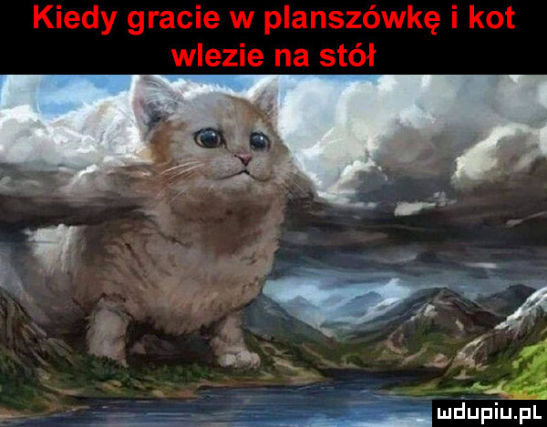 Obrazek