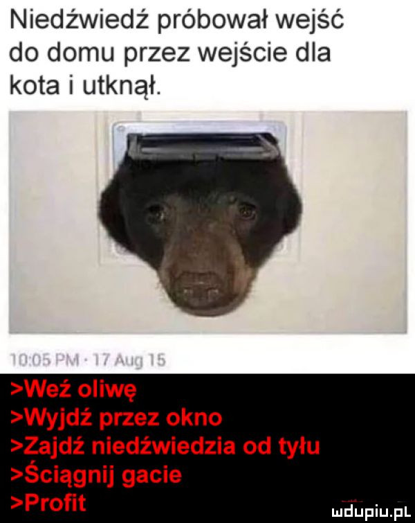 niedźwiedź próbował wejść do domu przez wejście dla kota i utknął. weź oliwę wyjdź przez okno zajdż niedźwiedzia od tyłu ściągnij gacie proﬁt