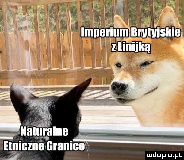 e  iiigiiig uranium mduplu pl