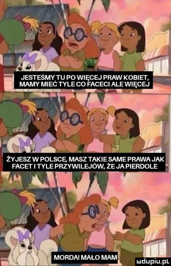 abakankami jesteśmyitu po więcej praw kobiet. mamy miec tyle co faceci ale wiecej  . abakankami żyjesz w polsce masz takiesame prawa jak facet i tyle przywilejow ze ja pierdole m