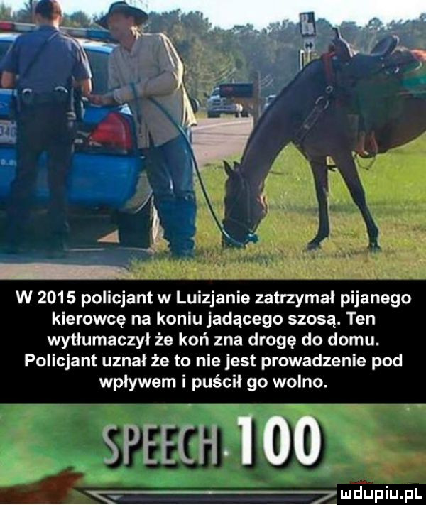 w      policjant w luizjanie zatrzymał pijanego kierowcę na koniu jadącego szosą. ten wytłumaczył że koń zna drogę do domu. policjant uznał że to nie jest prowadzenie pod wpływem i puścił go wolno. speechjoo i u lipiu pl