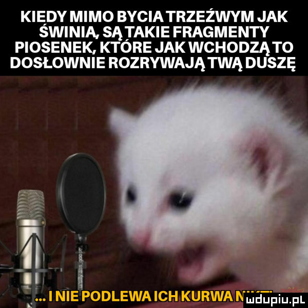 kiedy mimo byciatrzezwym jak swinia. są takie fragmenty piosenek ktore jak wchodząto dosłownie rozrywają twa duszę   ww. abakankami in mr. f