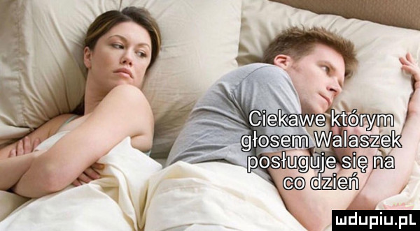 Obrazek