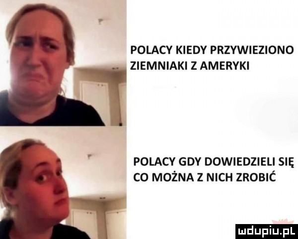 polacy kiedy przywieziono ziemniaki z ameryki polacy gdy dowiedzieli się co można   nich zrobic