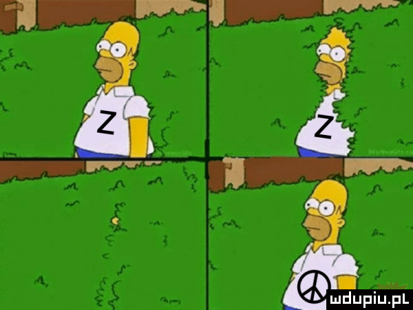 Obrazek