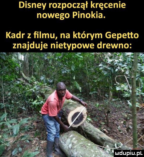 disney rozpoczął kręcenie nowego pinokia. kadr z filmu na którym genetto znajduje nietypowe cirewno a i ludupiu. pl