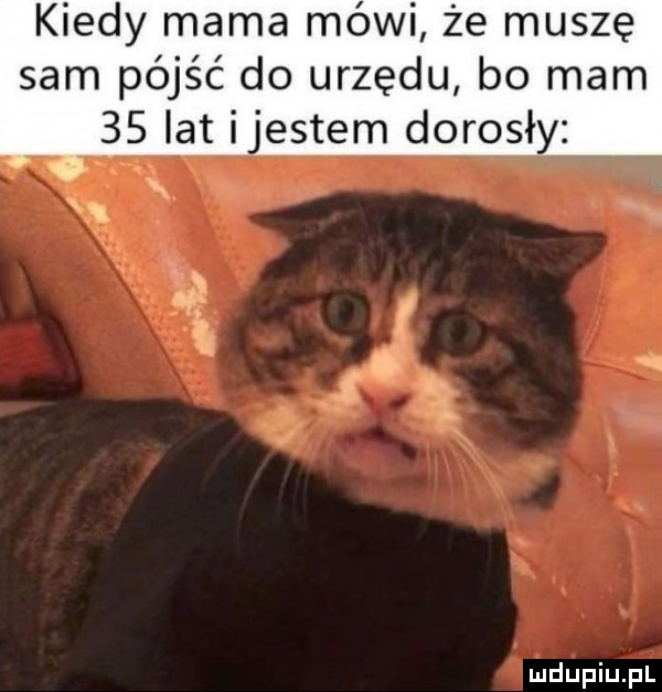 kiedy mama mówi że muszę sam pójść do urzędu bo mam    lat ijestem dorosły