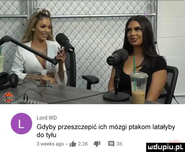 x. lord wd gdyby przeszczepić ich mózgi ptakom iatałyby do tycu aweeks ago. a